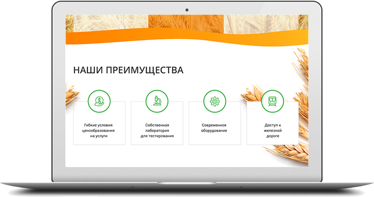 http://web4site-spb.ru/wp-content/uploads/2018/06/project-desktop-img-5-737x389.png